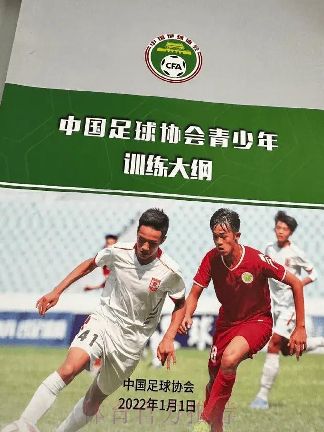 四大模式，深度融合：中国足球青训进入“政府+市场”协同新阶段